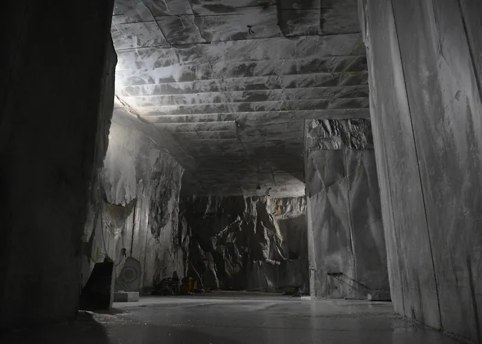 게스트하우스 Firmafede 사르자나